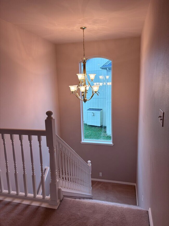Building Photo - 2436 Marian Bay Cir