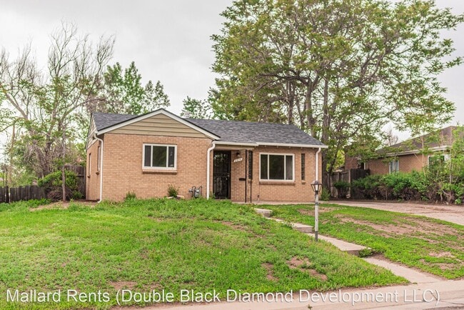Primary Photo - 4 br, 2 bath House - 2976 Olive St