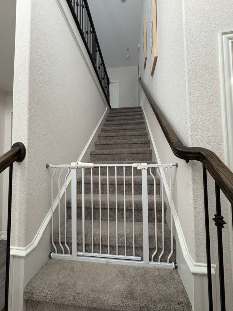 Building Photo - 609 Cattle Chute Ct