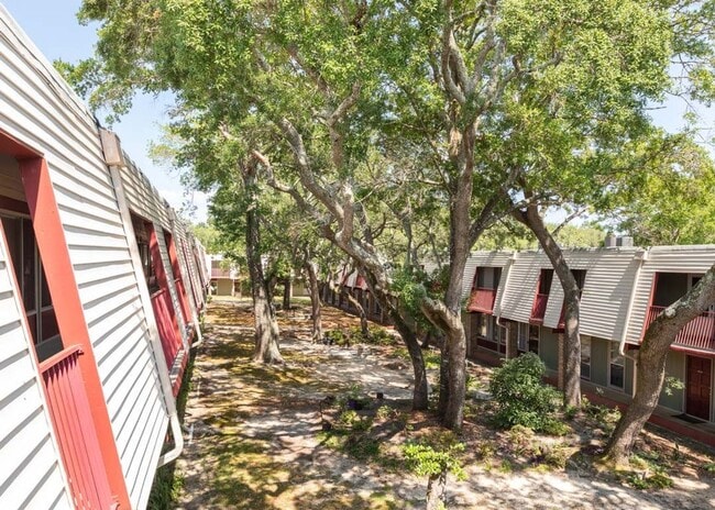 Building Photo - New Listing!