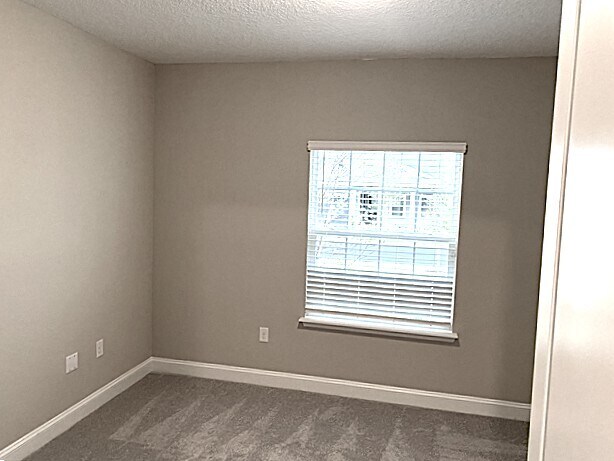 Building Photo - 92 Cobalt Ln