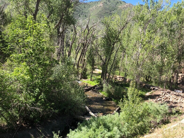 Lightner Creek from Rosemary Lane - 219 Rosemary Ln
