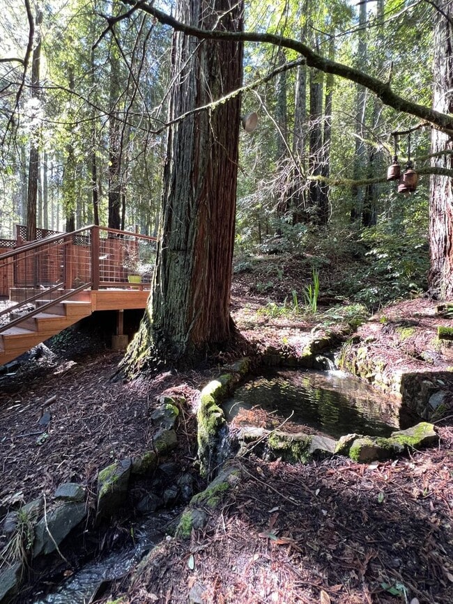 Building Photo - 2,280 Square Foot modern Three bedroom two bath multi  level home, large yard, decks, cathedral c...