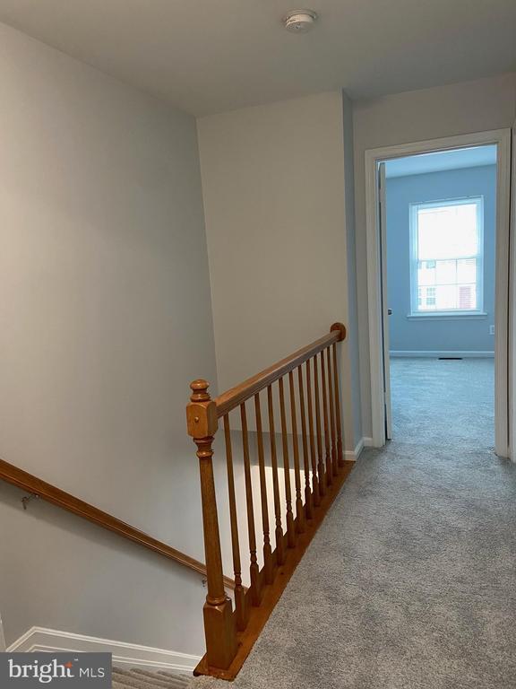 Building Photo - 1509 St Christopher Ct