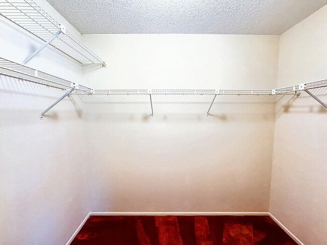 Building Photo - "Charming 2-Bedroom Oasis with 2 Full Baths in New Port Richey - Spacious 1747 Sq. Ft. Gem!"