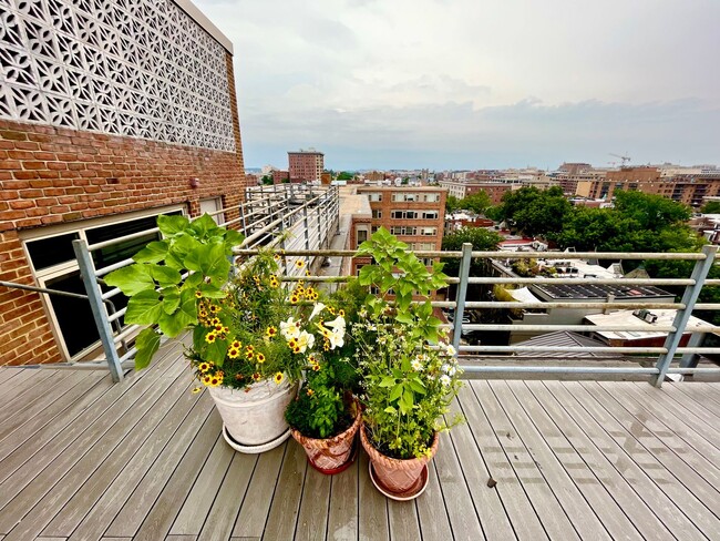 Building Photo - Cute 1 BR/1 BA Condo in Dupont Circle!