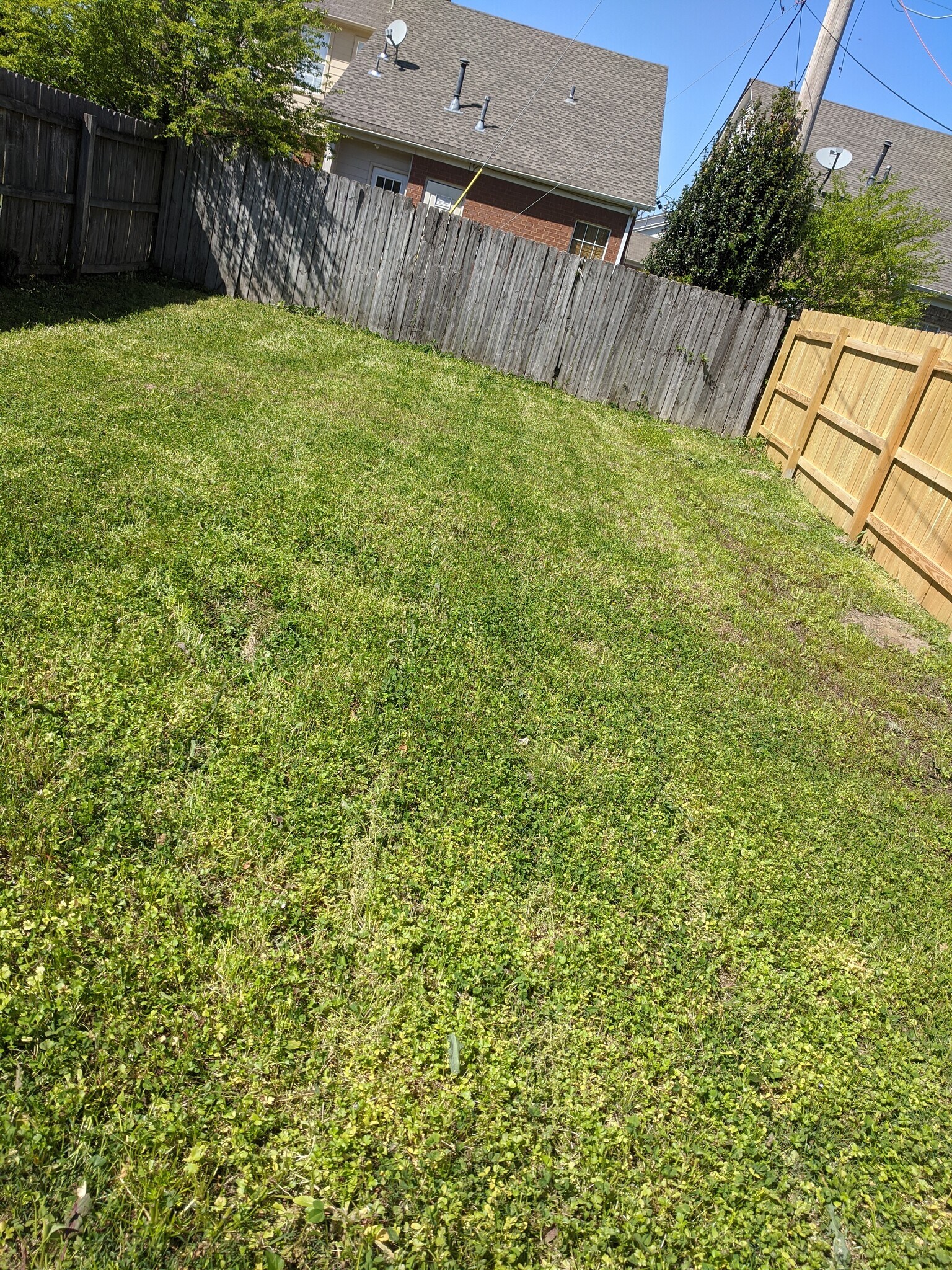 Building Photo - 7746 Shadowland Dr