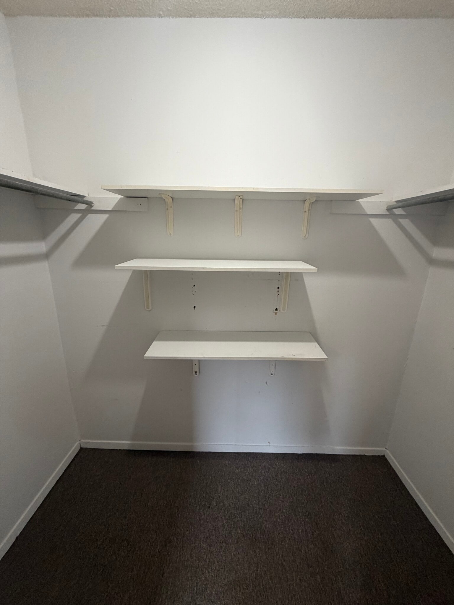 Building Photo - 113 Marble St