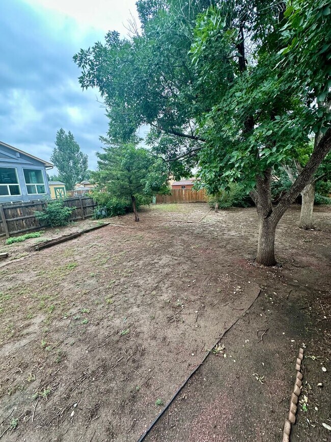Building Photo - Updated Split-Level Gem | 5BD, 3BA | Large...