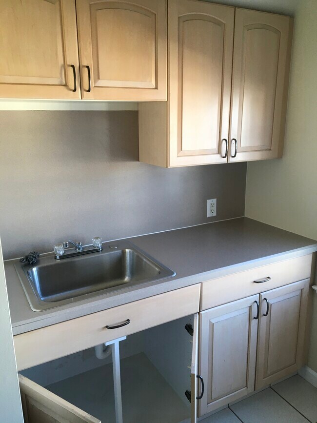 kitchen sink area - 209 Garfield Ave