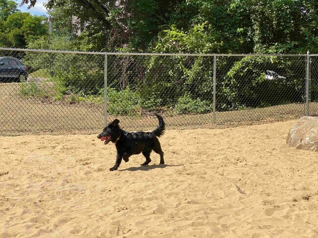 Building Photo - 99 Eastern Ave