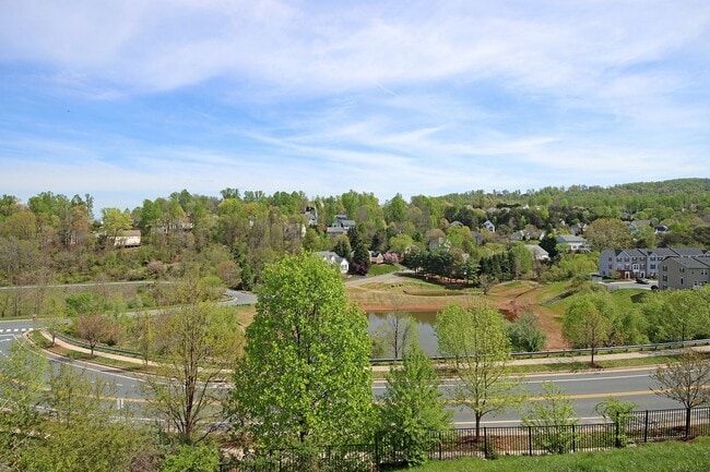Building Photo - Small Pet-Friendly End-Unit Pantops Townhome