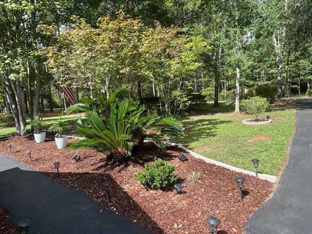 Building Photo - 104 Big Pine Dr