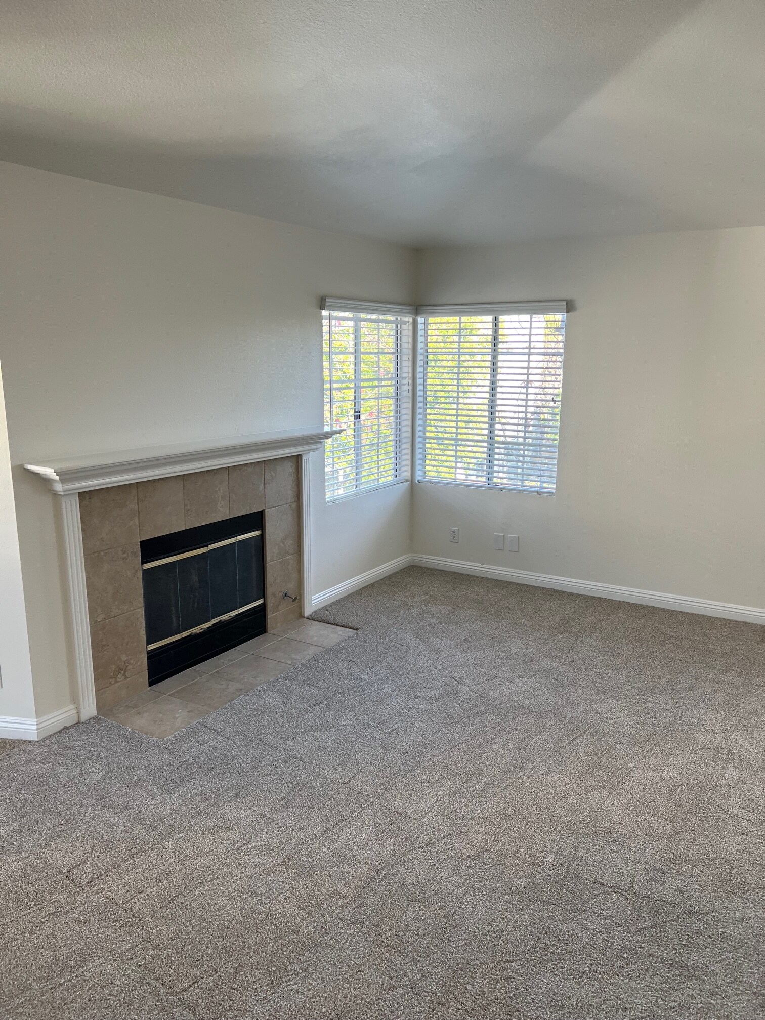 Living Room - 23412 Pacific Park Dr
