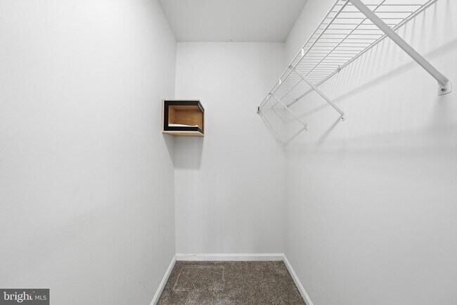 Building Photo - 2335 Huntington Station Ct