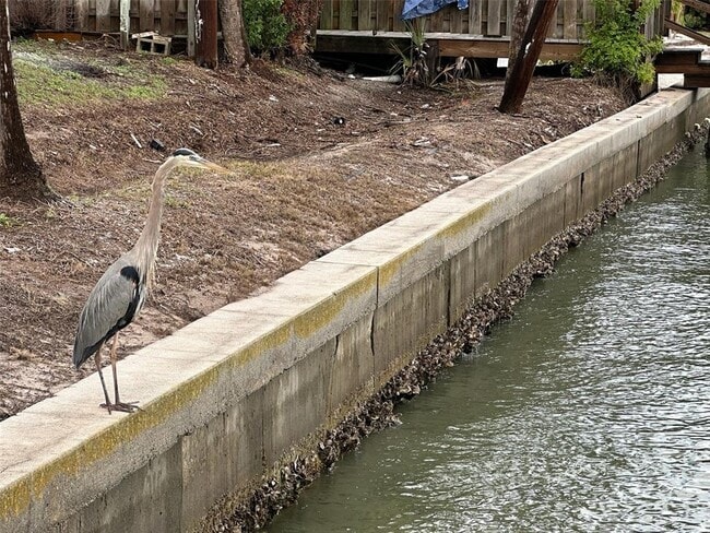Building Photo - 175 55th Ave