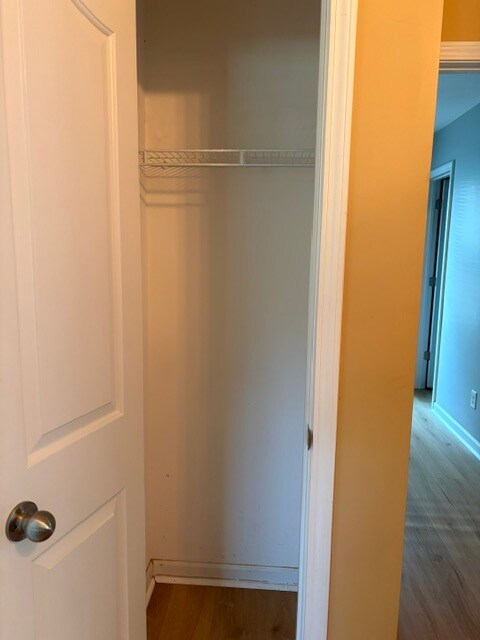 Entry Hallway Closet - 101 Portland Falls Dr