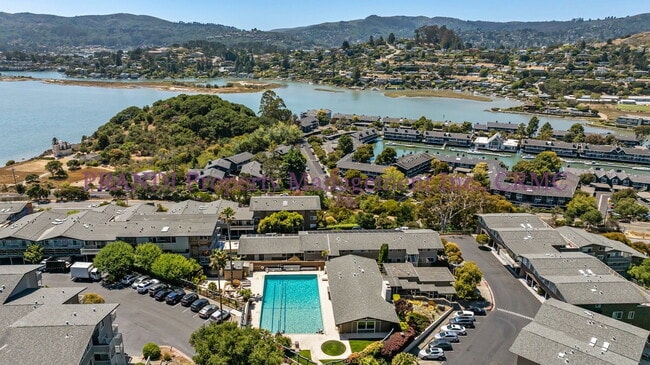 Building Photo - The Best View in Southern Marin! Luxury To...