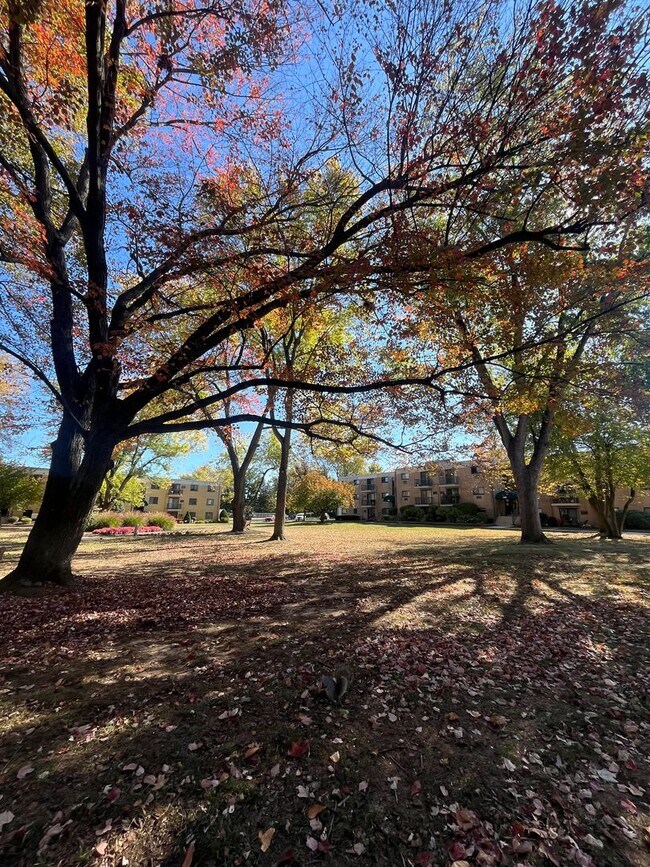 Building Photo - 1 Bd / 1 Bth Warminster Condo