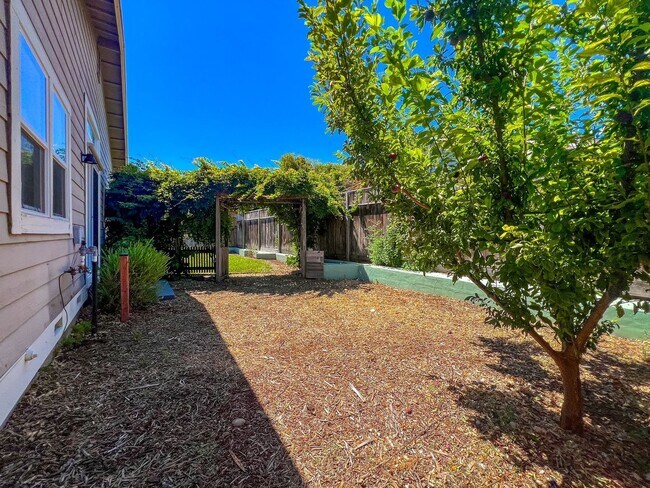 Building Photo - Spacious Single-Level 3-Bedroom Home in Desirable North Napa
