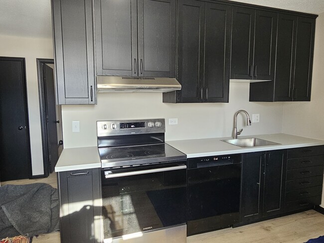 New Cabinets, Stove, Countertop, Sink - 10100 Oakland Rd