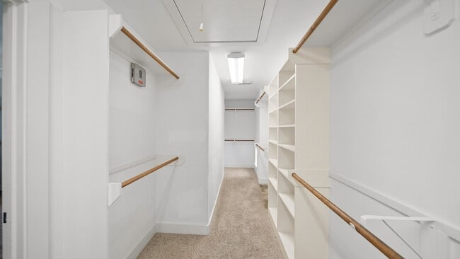 Building Photo - 5637 Oasis Palm Ln