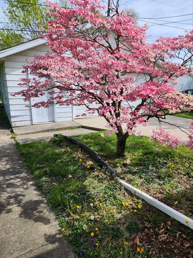 Building Photo - Cute home, BSU AREA - $1500