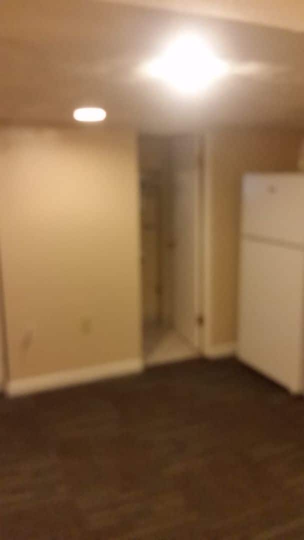 Building Photo - South Oakland renovated apartment