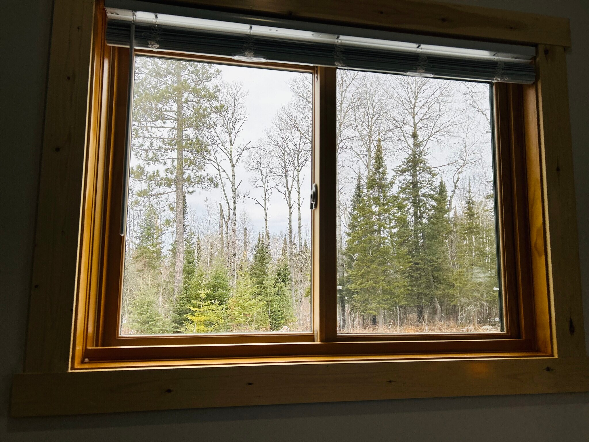 Building Photo - 9117 Nukala Rd