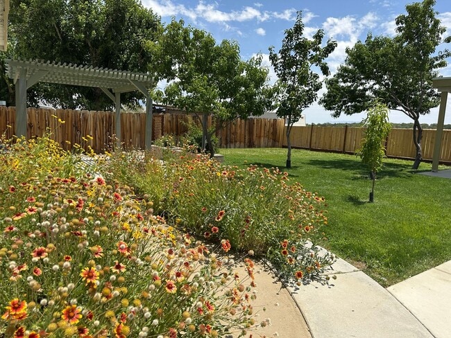 Building Photo - Beautifully landscaped home with modern up...