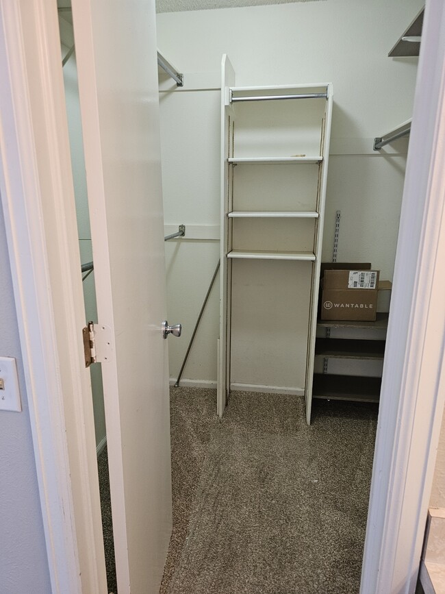 Main walk-in closet - 3541 S Telluride Cir