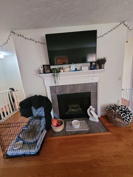 Fire place - 515 Silver Leaf Dr