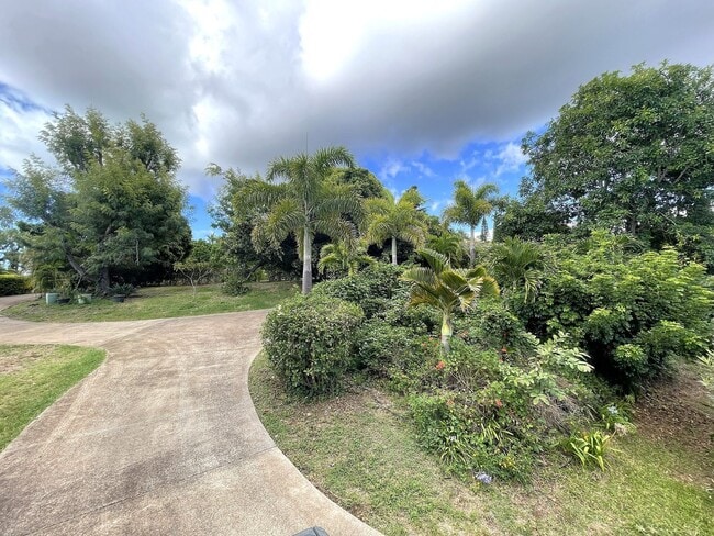 Building Photo - 240 Aulii Dr