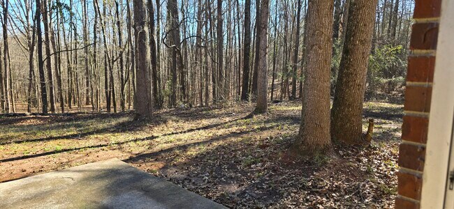 Building Photo - 275 Johnson Terrace