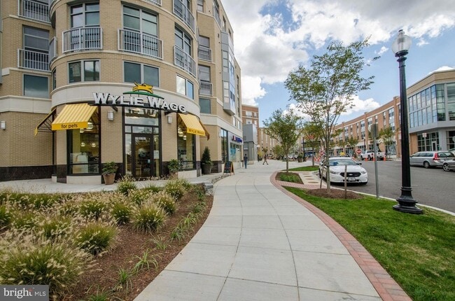 Building Photo - 4201 Cathedral Ave NW