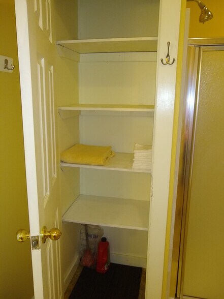 Linen closet adds lots of storage in the bathroom (walls have been painted white since this photo) - 156 Henry St