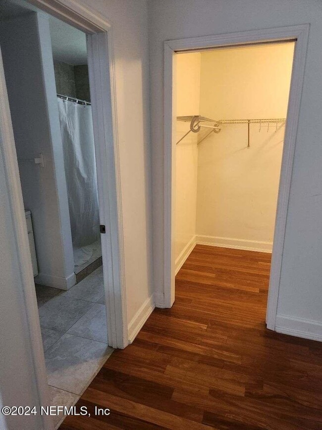 Building Photo - 1736 Fruit Cove Woods Dr