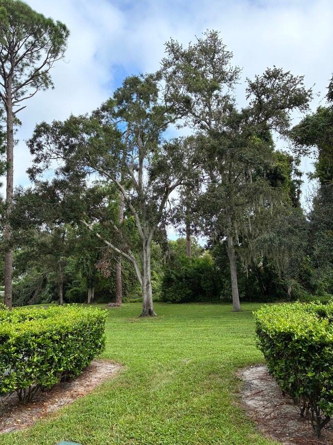 View from back windows, door - 3038 Eastland Blvd