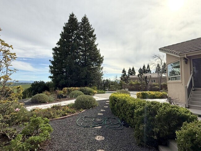 Building Photo - REDUCED ! Beautiful custom one story estate located on one of the most desirable streets in Black...