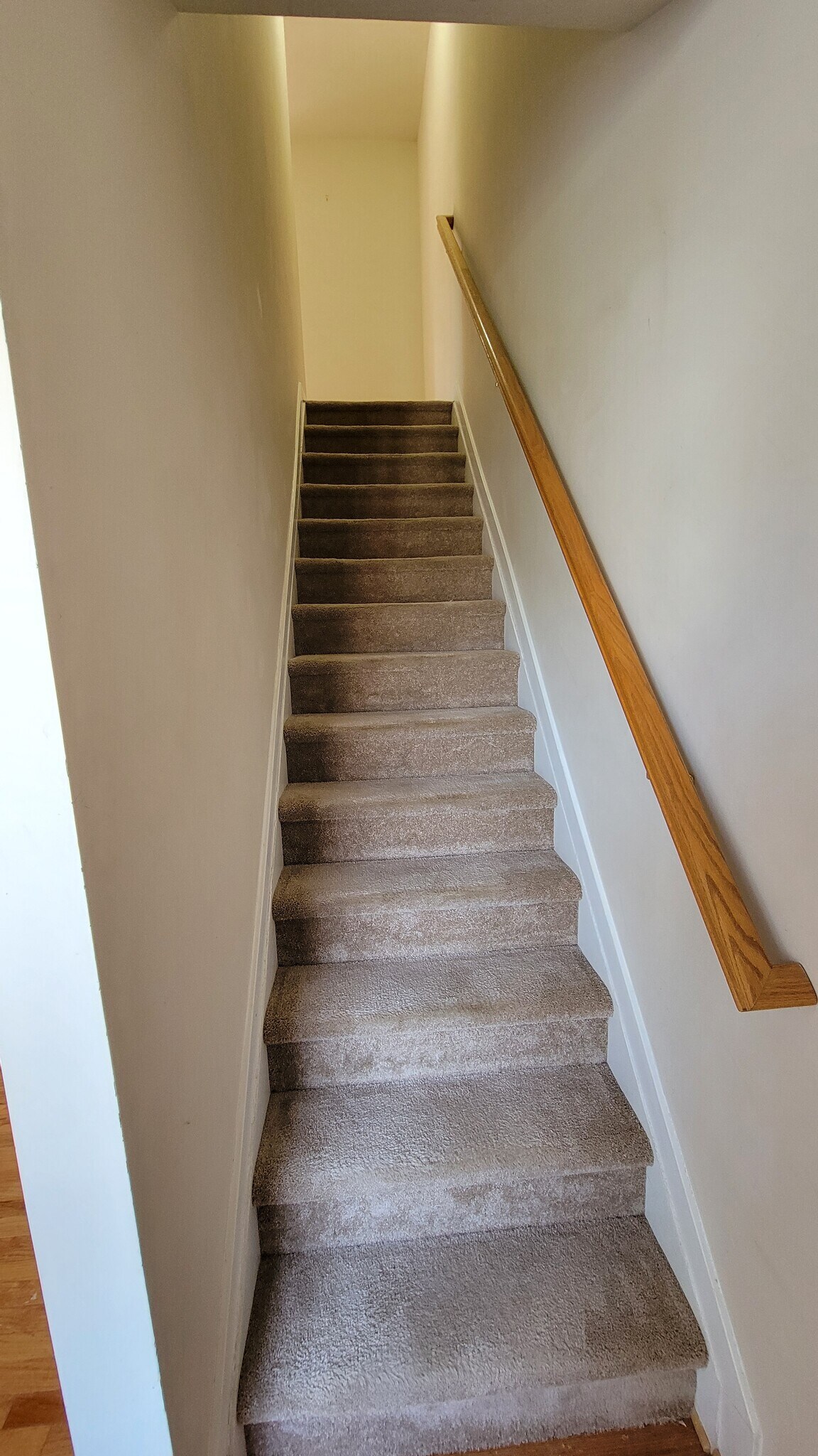 Building Photo - 1252 Frost Pl