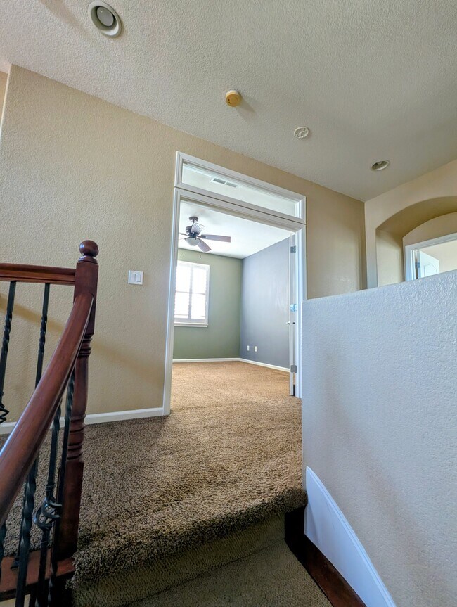 Building Photo - 430 Cicada Ct