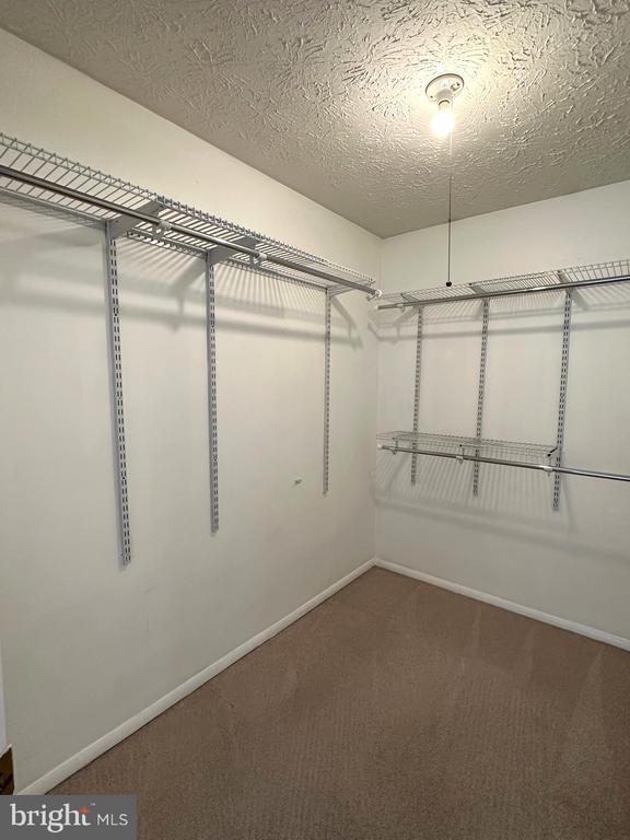 Building Photo - 4313 Lamarre Dr