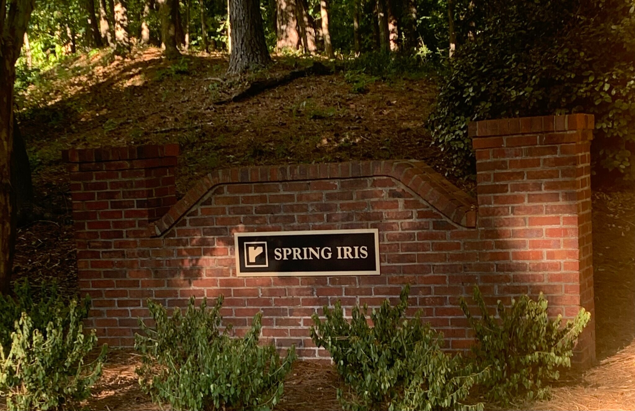 Building Photo - 2325 Spring Iris Dr