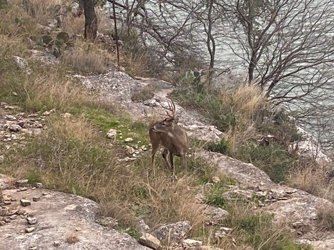 Building Photo - FURNISHED STUDIO CONDO WITH A MILLION DOLLAR LAKE VIEW
