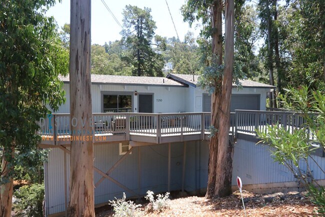 Building Photo - Contemporary Montclair Home with Forest Views