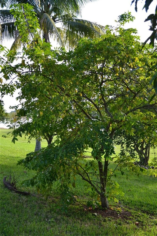 Building Photo - 22418 SW 94th Path