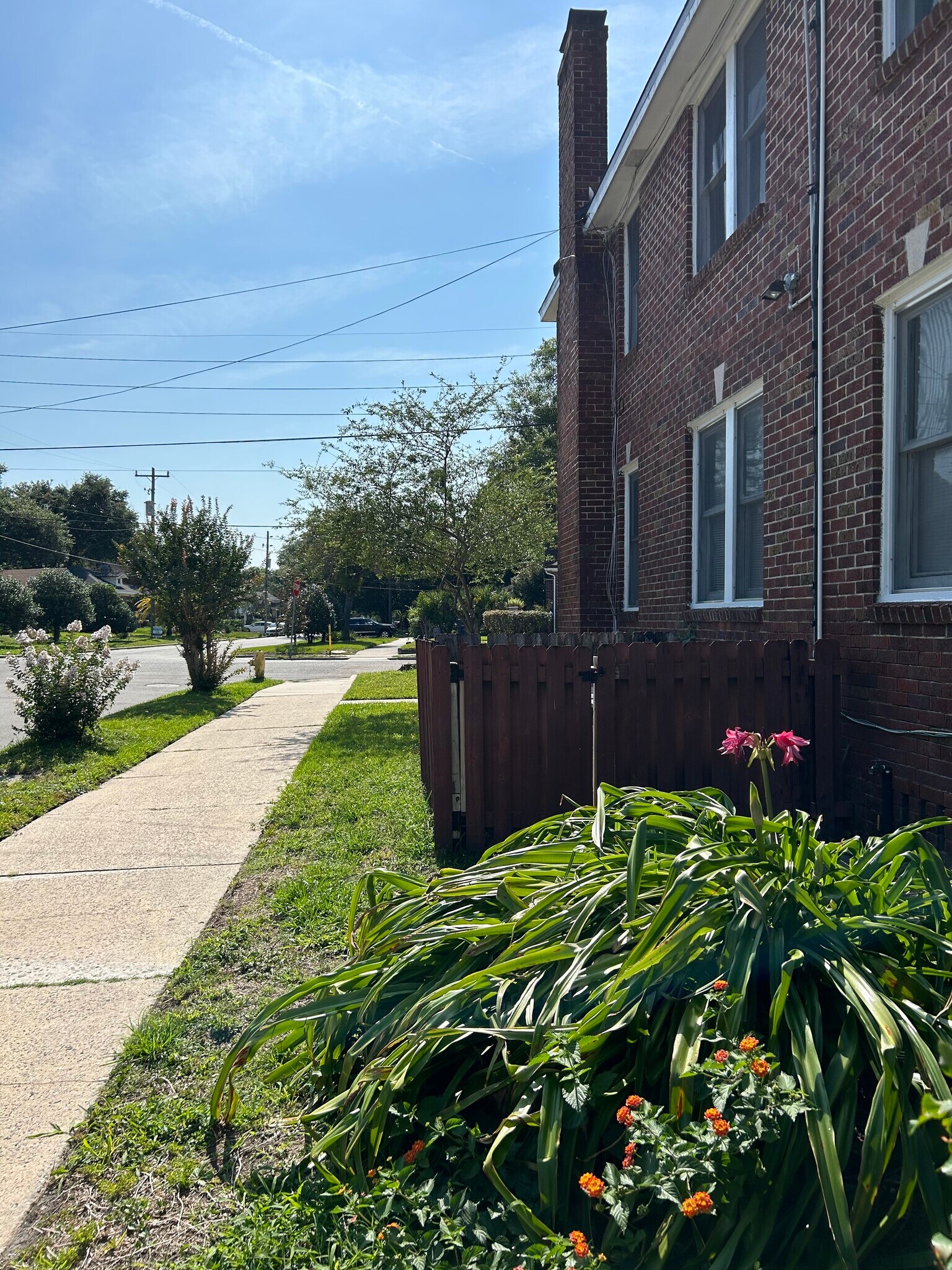 Dellwood Ave. View - 768 Acosta St