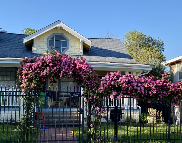 Peggy Martin Roses nearby street - 812 Branard St