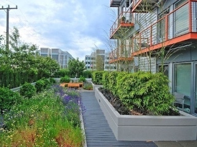 Building Photo - Veer Lofts Condominiums ~ South Lake Union