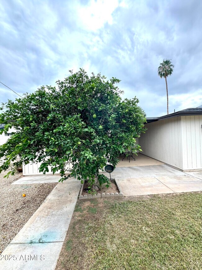 Building Photo - 4248 E Montecito Ave